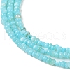 3 Strands Natural Freshwater Shell Beads Strands SHEL-HS0001-01B-1