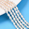 Natural Cultured Freshwater Pearl Beads Strands PEAR-N012-04W-1
