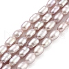 Natural Cultured Freshwater Pearl Beads Strands PEAR-P062-02B-2