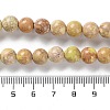 Dyed Natural Regalite/Imperial Jasper/Sea Sediment Jasper Beads Strands G-B124-C01-08-5