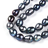Natural Cultured Freshwater Pearl Beads Strands PEAR-N012-09F-4