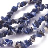 Natural Sodalite Beads Strands G-G782-31-1