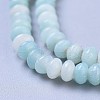 Natural Amazonite Beads Strands G-F638-09-3