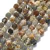 Natural Lodolite Quartz Beads Strands G-I376-A71-01-2