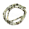 Natural Prehnite Beads Strand G-RM241221-K3-5