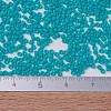 MIYUKI Delica Beads SEED-X0054-DB0793-4