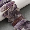 Natural Amethyst Beads Strands G-S386-D16-1