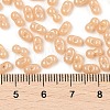 Baking Paint Glass Seed Beads SEED-L011-09A-15-4