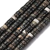 Natural Biotite Beads Strands G-L624-I12-3x6mm-2