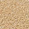MIYUKI Delica Beads SEED-X0054-DB1561-2