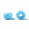 6/0 Glass Seed Beads SEED-S058-A-F298-5