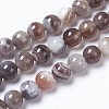 Round Natural Botswana Agate Bead Strands G-I166-02-6mm-2
