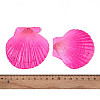 Spray Painted Natural Scallop Shell Big Pendants SSHEL-T017-14M-4