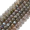 Natural Labradorite Beads Strands G-C207-A01-8mm-2