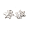 Alloy Pendants PALLOY-E024-50P-2