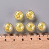 Transparent Acrylic Beads TACR-S152-16B-SS2105-4