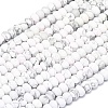 Natural Howlite Beads Strands G-P575-A32-6x4mm-2