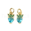 Brass Micro Pave Cubic Zirconia Charms ZIRC-H119-06G-03-1