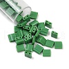  520Pcs 2 Style 2-Hole Glass Seed Beads SEED-NB0001-72B-2