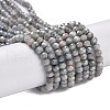 Faceted Electroplated Glass Beads Strands GLAA-C023-02-C11-1
