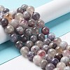 Natural Plum Blossom Tourmaline Beads Strands G-I355-01C-01-2