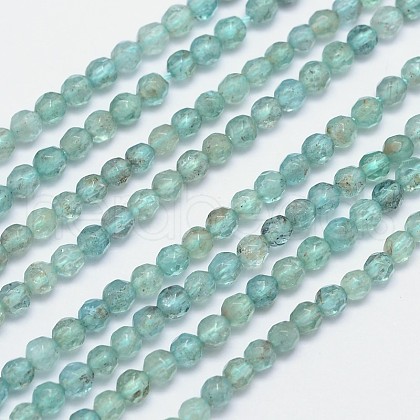 Faceted Round Natural Apatite Bead Strands G-I156-05-1