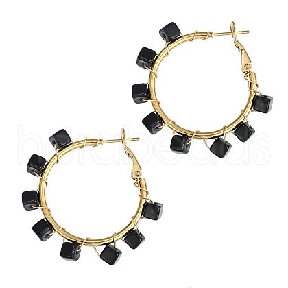 201 Stainless Steel Acrylic Hoop Earrings FS-WG443EA-01-1