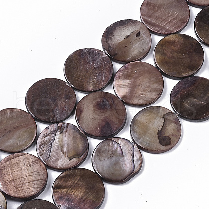 Freshwater Shell Beads Strands SHEL-T014-011A-1