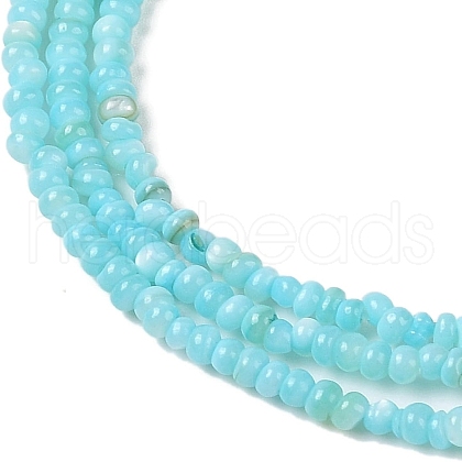 3 Strands Natural Freshwater Shell Beads Strands SHEL-HS0001-01B-1