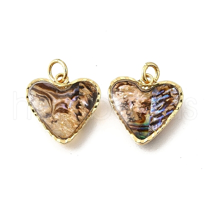 Natural Paua Shell & Epoxy Resin Charms KK-E794-02G-03-1