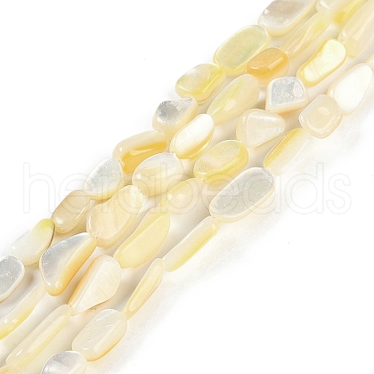Natural Trochus Shell Beads Strands BSHE-H109-05-1