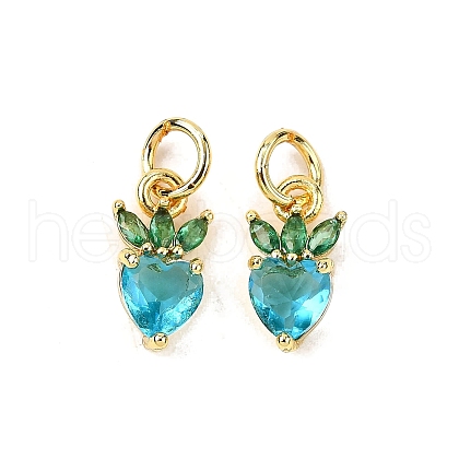 Brass Micro Pave Cubic Zirconia Charms ZIRC-H119-06G-03-1