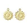 304 Stainless Steel Charms STAS-L269-019G-1
