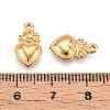 304 Stainless Steel Charms STAS-N109-114G-3