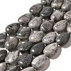 Natural Map Stone Beads Strands G-I377-A06-2