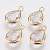 Glass Charms KK-Q752-001G-1