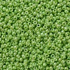 MIYUKI Round Rocailles Beads SEED-X0054-RR0479-3
