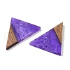 Resin & Wood Pendants WOOD-F015-06H-2