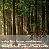 Natural Basswood Wall Sculpture WOOD-WH0118-004-4