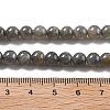 Natural Labradorite Beads Strands G-S333-6mm-035-01-4