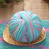 Cashmere Segment Dyed Yarn PW-WG4CBEA-06-1