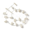 Natural White Shell Mother of Pearl Shell Beads BSHE-B005-07-2