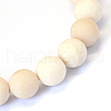 Frosted Natural Fossil Round Bead Strands G-E334-12mm-22-2