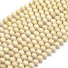 Natural Fossil Beads Strands G-P573-A42-01-2