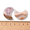 Natural Amethyst Lace Agate Pendants G-A244-08E-3
