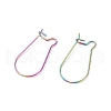 Ion Plating(IP) Rainbow Color 316 Surgical Stainless Steel Hook Earrings STAS-E009-5M-3