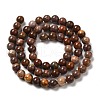 Natural Gemstone Beads Strands G-A215-01A-2