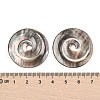 Natural Black Lip Shell Cabochons SSHEL-I026-18-3