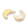 Rack Plating Alloy Enamel Charms ENAM-N056-341-3