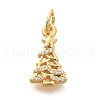 Rack Plating Brass Micro Pave Cubic Zirconia Charms KK-H508-30G-1